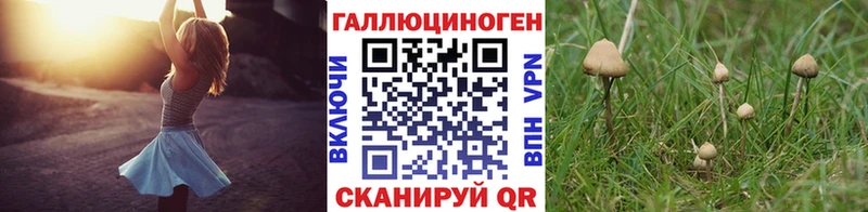 Псилоцибиновые грибы GOLDEN TEACHER  ссылка на мегу tor  Кондрово 