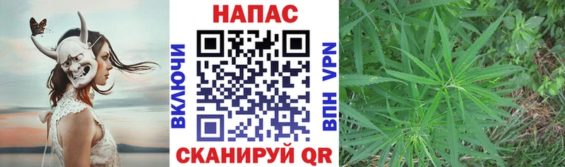 Бошки марихуана MAZAR  Кондрово 